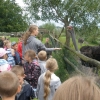 mniejsze-p8120772